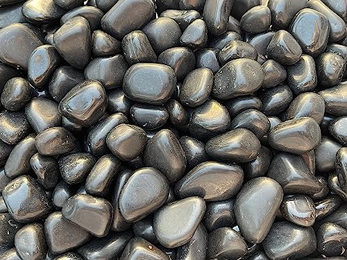 Image of GAF TREASURES 1 /2 LB Black Tourmaline Tumbled Stones, Polished Natural Black Tourmaline Gemstone, Black Tourmaline Healing Crystals (Black Tourmaline)