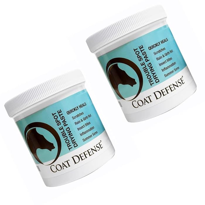Buy COAT DEFENSE Trouble Spot Drying Paste for Horses. 24 Oz 2Pack