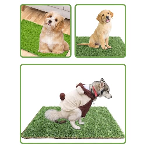 Almohadillas de césped para perros con diseño grueso, realista y agujeros de drenaje fluido 8