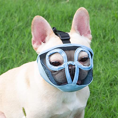 JYHY Verstellbarer Maulkorb für Plattnasen Blau