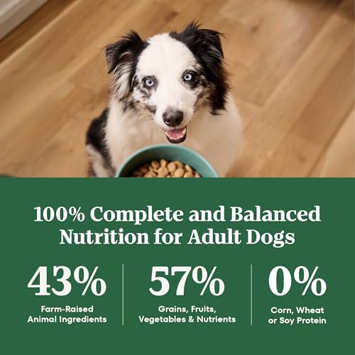 Nutro Natural Choice Adult Dry Dog Food, Beef & Brown Rice Recipe, 4.5 lb - image 8