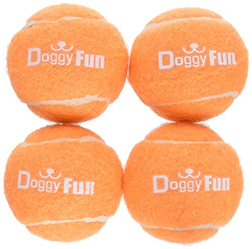 Dog Fetch Toy Balls