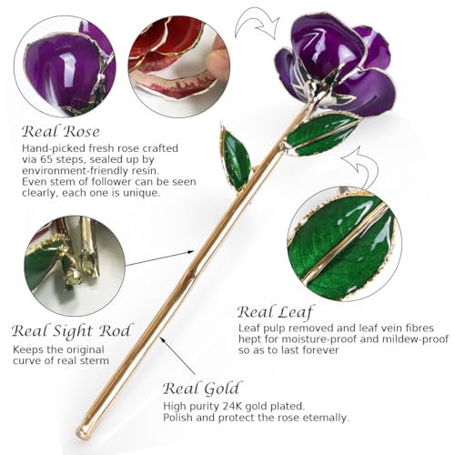 Image of Sinvitron Gold Dipped Infinity Rose Forever Flower Decor, Resin Preserved Real Rose Birthday Gift for Women, Anniversary Present for Mom (Purple)