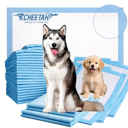 CHEETAH Puppy Training Pads 6-Layer Leak Proof Dog Pee Pads Ultra Absorbent Odor Control Quick Dry Pet Pads for Dogs & Cats Blue Color L Size (60x60cm) - 40Pcs