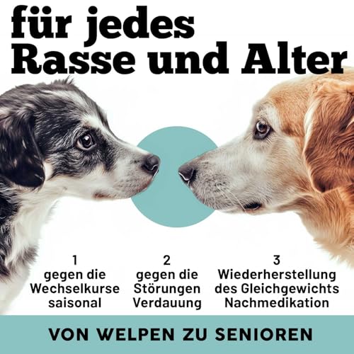 MyPetPrime Probiotika Darmflora Hunde | 30 CPR | Tabletten Darmsanierung für den Hund | Für verbesserte Verdauung & Immunsystem | gesundheitsprodukte