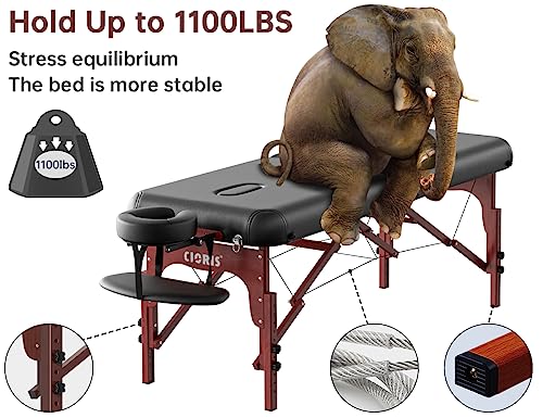 Image of CLORIS 84 inch Professional Massage Table 2 Section Portable Hold Up to 1100LBS