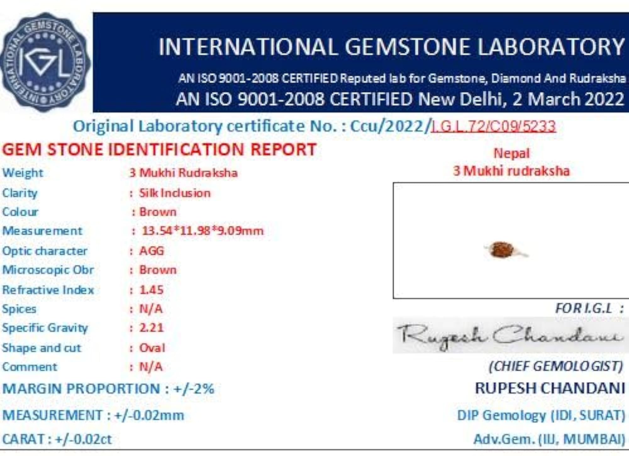 3 Mukhi Rudraksha Original Certified Natural Nepali Bead