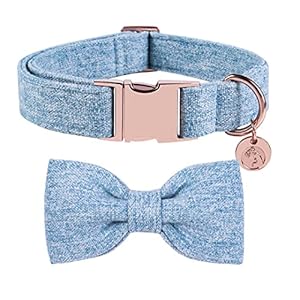 DOGWONG Hemp Cotton Dog Collar...