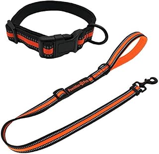 Pawzitive Petz Dog Collar and Lead Set (Medium), Puppy Collar and Lead Sets, Puppy Collar and Lead, Dog Collars Small Dog, Puppy Lead and Collar Set, Dog Leash and Collar Set, Dog Lead and Collar Set