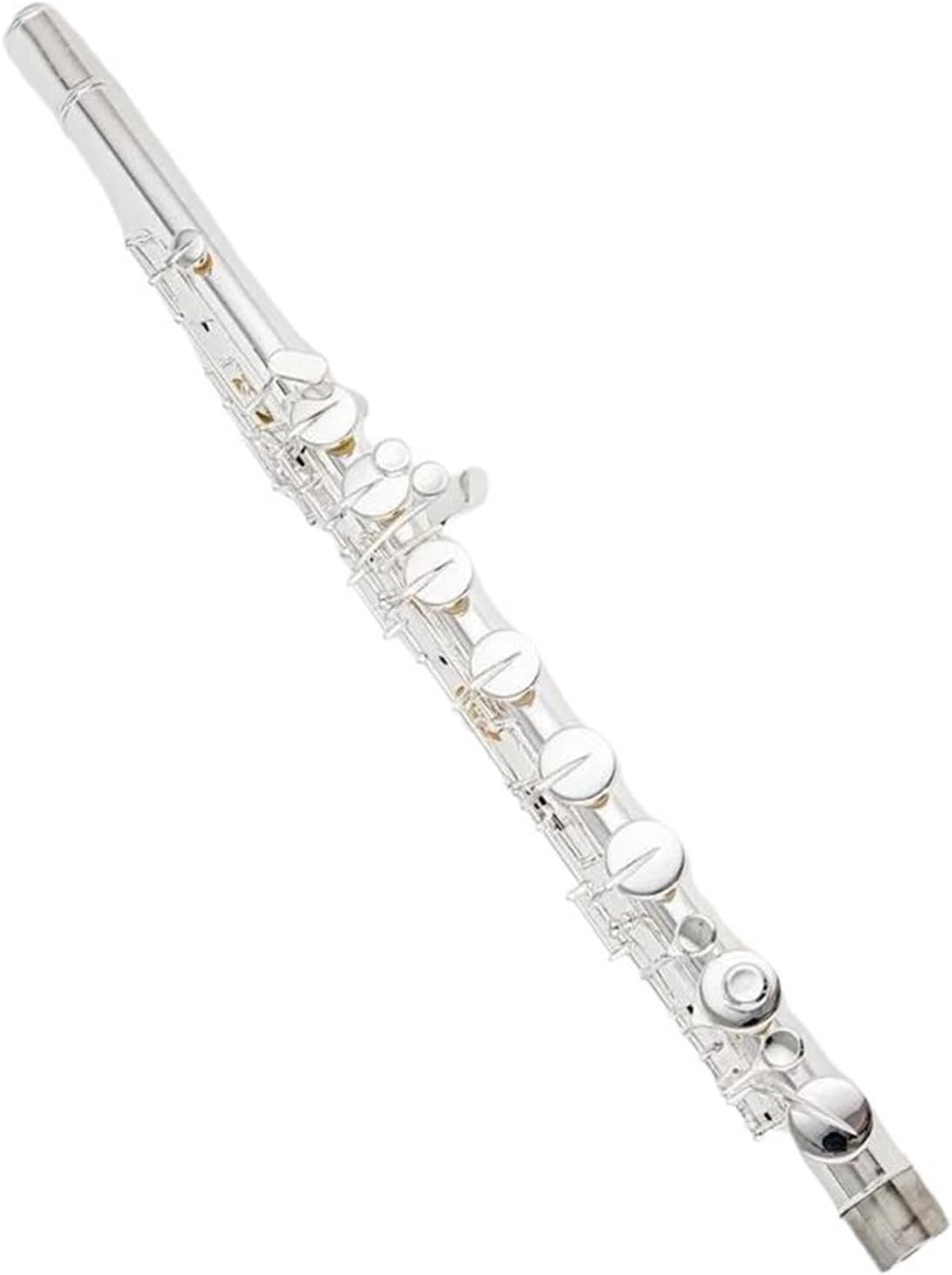 初心者フルート 16 穴 C キー初心者演奏楽器(Pink) Amazon | 木管楽器