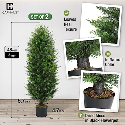 CAPHAUS 4 FT, 48 Inch Artificial Cedar Tree set of 2, Natural Faux Plants for Outside Planter, UV Resistant, Fake Boxwood Topiary w/Dried Moss, Artificial Tree Indoor, Outdoor Patio Decor