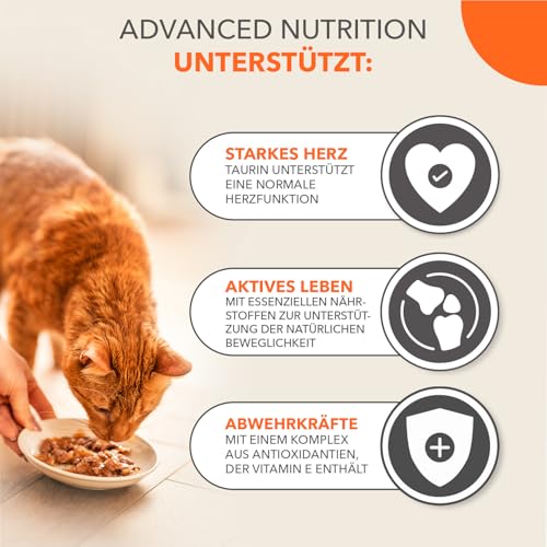 IAMS Delights Land & Sea Collection Senior Katzenfutter Nass - Multipack mit Fleisch und Fisch Sorten in Sauce, Nassfutter für ältere Katzen ab 7 Jahre, 48 x 85 g
