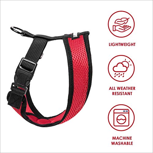 Gooby Comfort X Head in Harness - Red, Medium - No Pull Small Dog Harness, Patented Choke-Free X Frame - Perfect on The… - Image 4