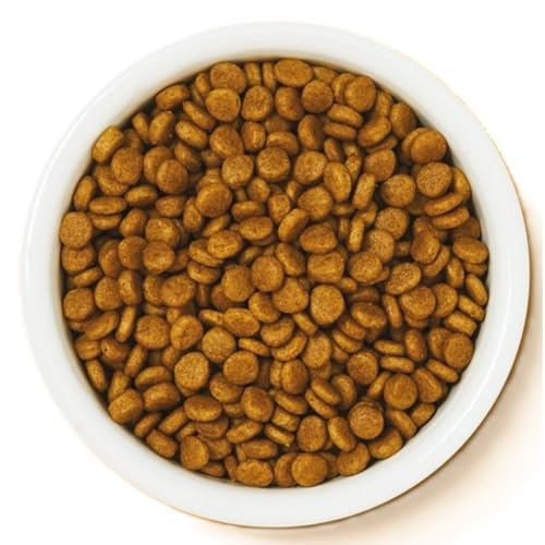 Lily's Kitchen Natürliches Kitten Trockenfutter Katzenfutter Huhn & Weißfisch 800g – Ansicht 4