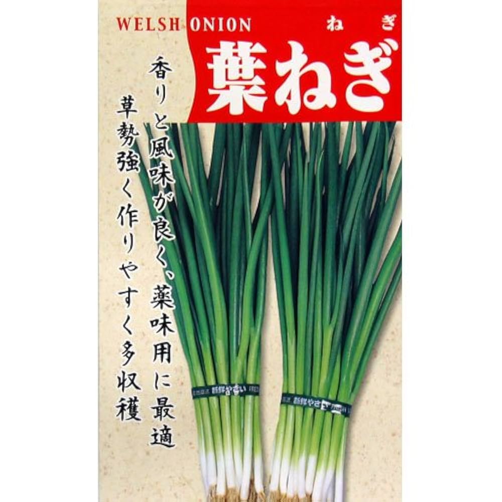 ハナコ　ネギ種子3品種 ハナコ様専用 ネギ種子3品種