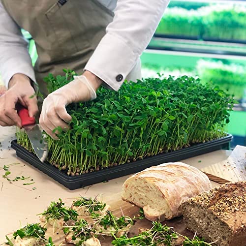 Active Grow Integrated Dual T8 4Ft Led Grow Light - For Indoor Plants, Microgreens, Veg & Bloom - 38W T8/T12 Led Grow Light - Sun White Full Spectrum High Cri 95 - Linkable - 120-277V #TOP7