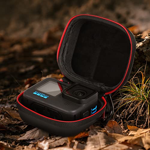 Hsu Mini Carrying Case And Extendable Aluminum Selfie Stick Compatible With Gopro Hero 11/10/9/8/7/6/ Akaso/Campark/Yi Action Camera And More #TOP2