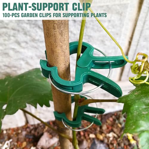 DIANLIANG 100 Stück Pflanzenklammern Tomaten Pflanzenclips für Kletterpflanzen