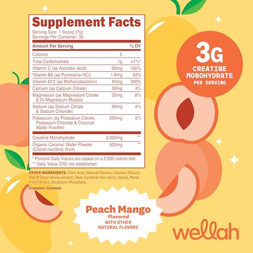 Image of Wellah Creatine + Electrolytes Powder (Peach Mango) 30 Servings - Hydration Drink Mix with 3g of Creatine Monohydrate