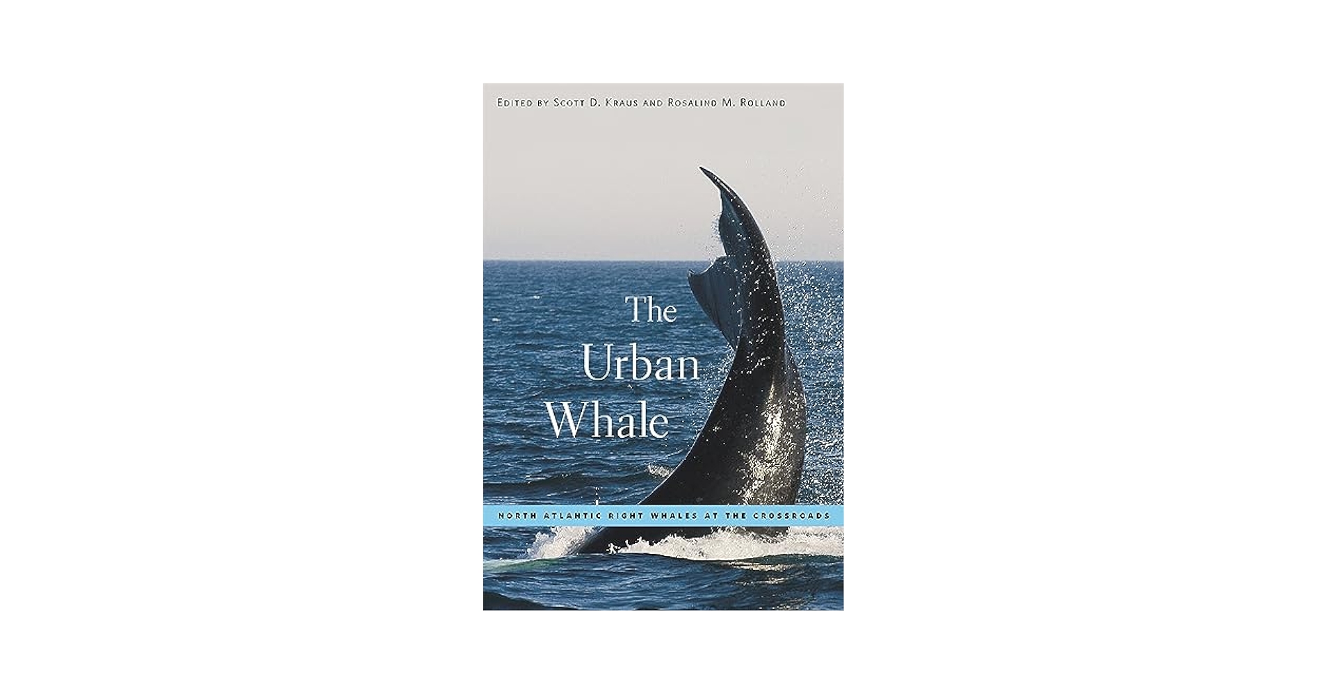 その他 North Atlantic's Most Endangered Whales [DVD] The Urban Whale: North Atlantic Right Whales at the