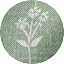 Dark Sage ( Seafoam Mint in the Sunlight )