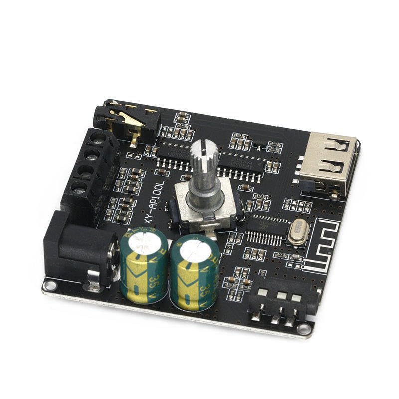 XY-AP100L Amplifier Board Side View