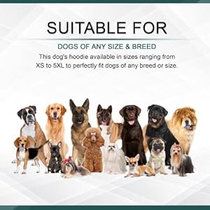 Personalized Dog Hoodie – Stylish Custom Dog Shirt with Embroidered Dog’s Name and Paws – Hooded Dog Sweatshirt Warm – Orange Cotton Dog Hoodies Winter Pullover with Pockets – X-Large