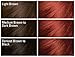 SoftSheen-Carson Dark and Lovely Fade Resist Rich Conditioning Hair Color, Permanent Hair Color, Up To 100 percent Gray Coverage, Brilliant Shine with Argan Oil and Vitamin E, Berry Burgundy