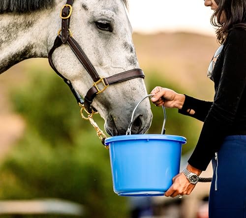 Image of Horse Quenchers 1 Serving Travel Pack (2.3oz) (Apple)
