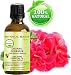 ORGANIC GERANIUM (EGYPTIAN) Essential Oil 100% Pure/ Undiluted/ Steam Distilled. 0.17 Fl.oz.- 5 ml.