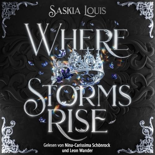 Where Storms Rise cover art
