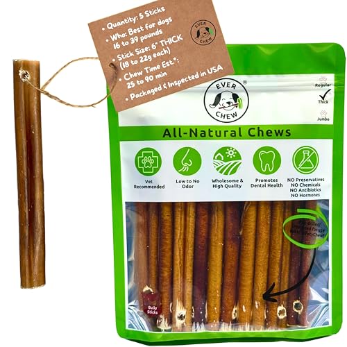 EverChew | Premium 6" Low-Odor Bully Stick Refill Packs – Free-Range, Grass-Fed, 100% Beef | 6" Thick - 5 Pack