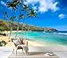 3D Wallpaper Beautiful Hanauma Bay Oahu Hawaii Coconut Palm Trees White Sandy Beach Removable Waterproof Large Wall Mural Wall Background Decorative Decals Modern Decor Print Design(Not Self-Adhesive)