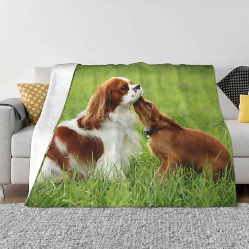 ѕz 킢 LoA XpjG(3) 킢 uPbg ӂӂ y 唻 _炩G t@bV Aj Ђ| |ѕz Lv Blanket 􂦂 Ódh~ lGKp lC  102cmx76cm