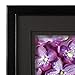 Gallery Solutions - Black Wood Wall Frame 11