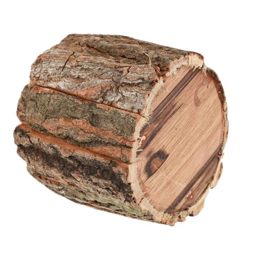 ifundom fނ̑fpȖؐv^[ ԕr Ap؂芔^e t[AWg≮O| 10cm