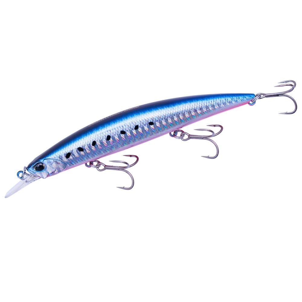 Amazon.co.jp: DUO(デュオ) ビーチウォーカー120MD マズメイワシ