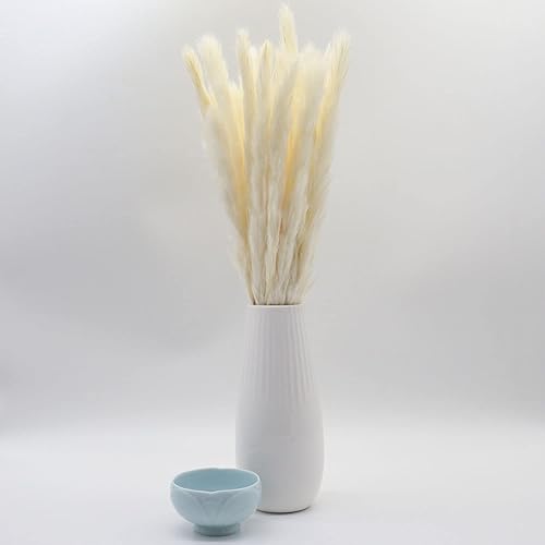 Miniatura 7 de Paquete de 30 unidades de hierba seca de las pampas secas naturales de 17 pulgadas (16.9 in) para decoración del hogar, decoración de boda,