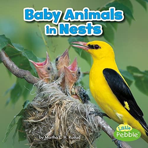 Baby Animals in Nests by Martha E. H. Rustad episode artwork