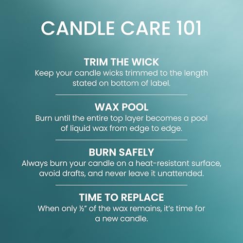 Yankee Candle Large Jar Scented Candle with up to 150 Hour Burn Time, Premium Plant Wax Blend for Consistent Burn, 22 oz Jar Candle with Room Filling Fragrance, Bahama Breeze