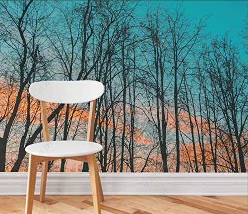 Papier Peint Panoramique Paysage Jungle Grands Bois De La ForêT Nordique, Salon Chambre Espace Calme De Falaise De Montagne Lointaine Poster Geant Mural 120cmx40cm Cover