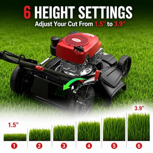Image of AMERISUN 21 inch Gas Lawn Mower, 144cc 4-Stroke, 2-in-1 Mulch & Side Discharge, 6 Height Adjustment, Lightweight Push Mower for Backyard Lawn Care
