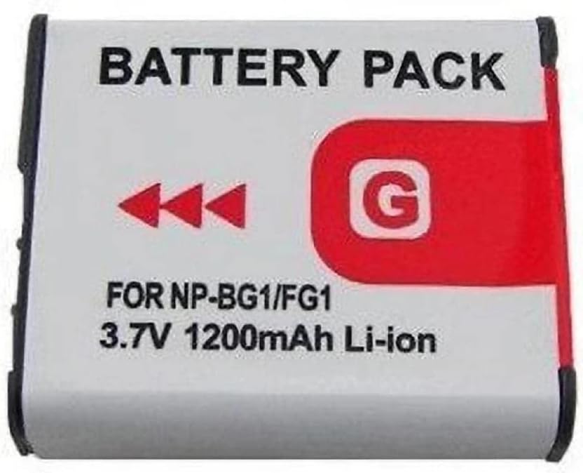 Buy NPBG1 Type G Lithium Ion Battery for W Series DSLR Camera Type G