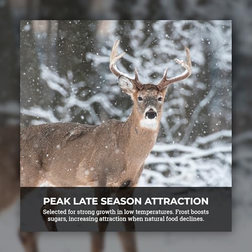 Brassica Blend For Deer
