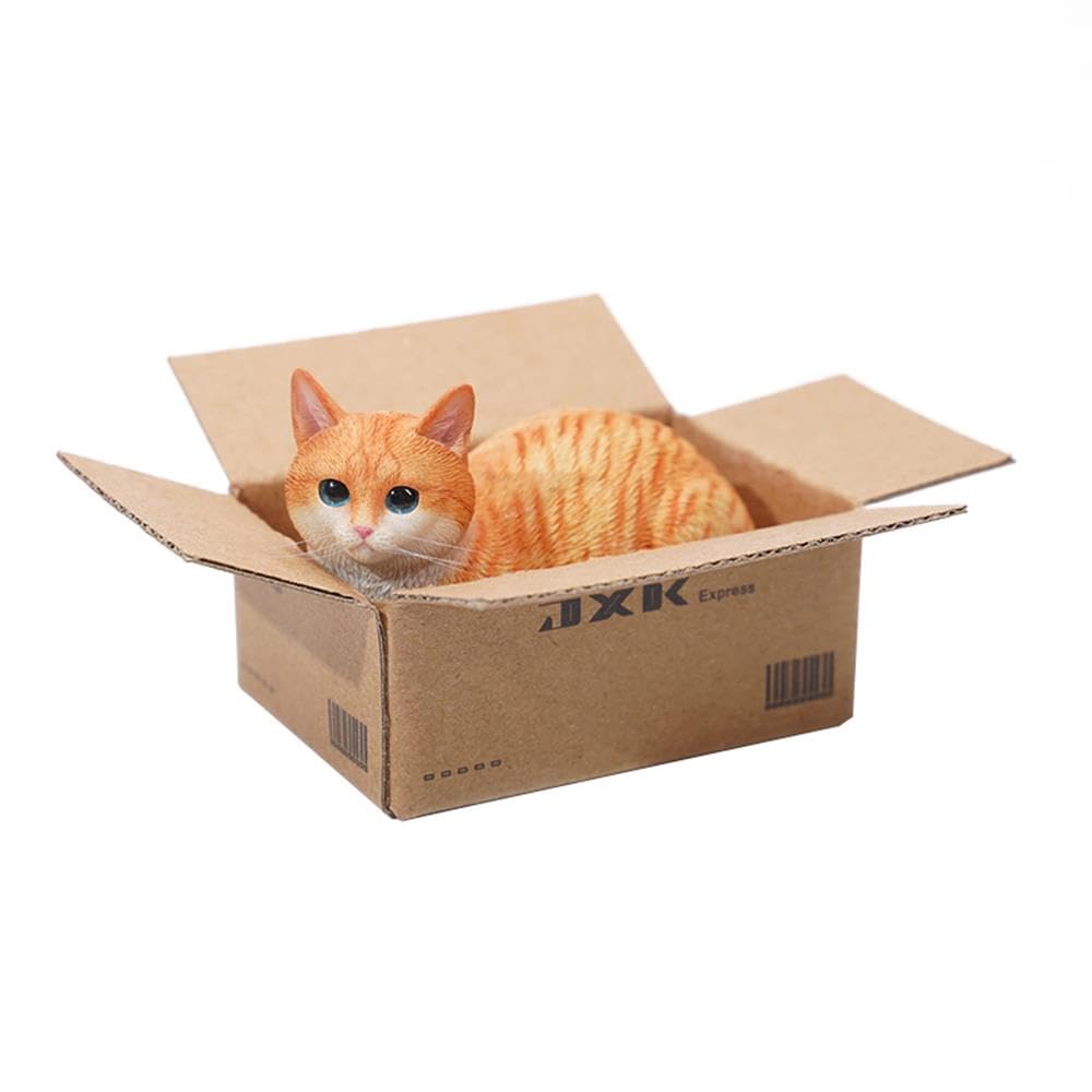 Amazon.com: MMOS X Cat in Box Figurine, Resin Kitty Statue