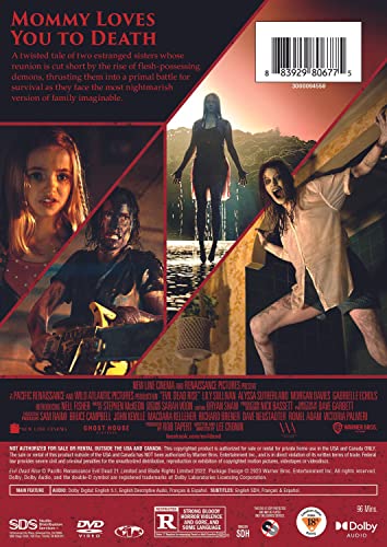 Image of Evil Dead Rise (DVD)