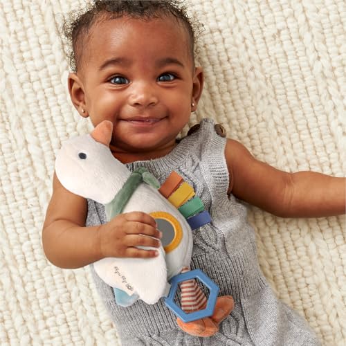 Itzy Ritzy Bitzy Traveler Toy