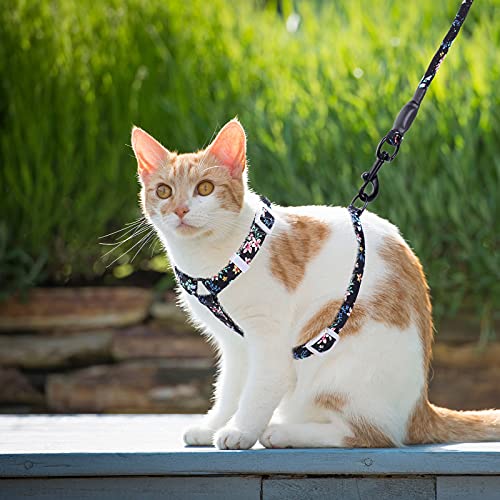 Simpeak-Katzengeschirr-Katze-Geschirr-mit-Leine-und-Halsbaender-Katzenleine-Katzengeschirr-Ausbruchsicher-fuer-Kitten-Schwarz