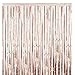 CCINEE Metallic Tinsel Champagne 2 Packs of 3ftX8ft Foil Fringe Curtains for Birthday Party Photo Backdrop Decoration