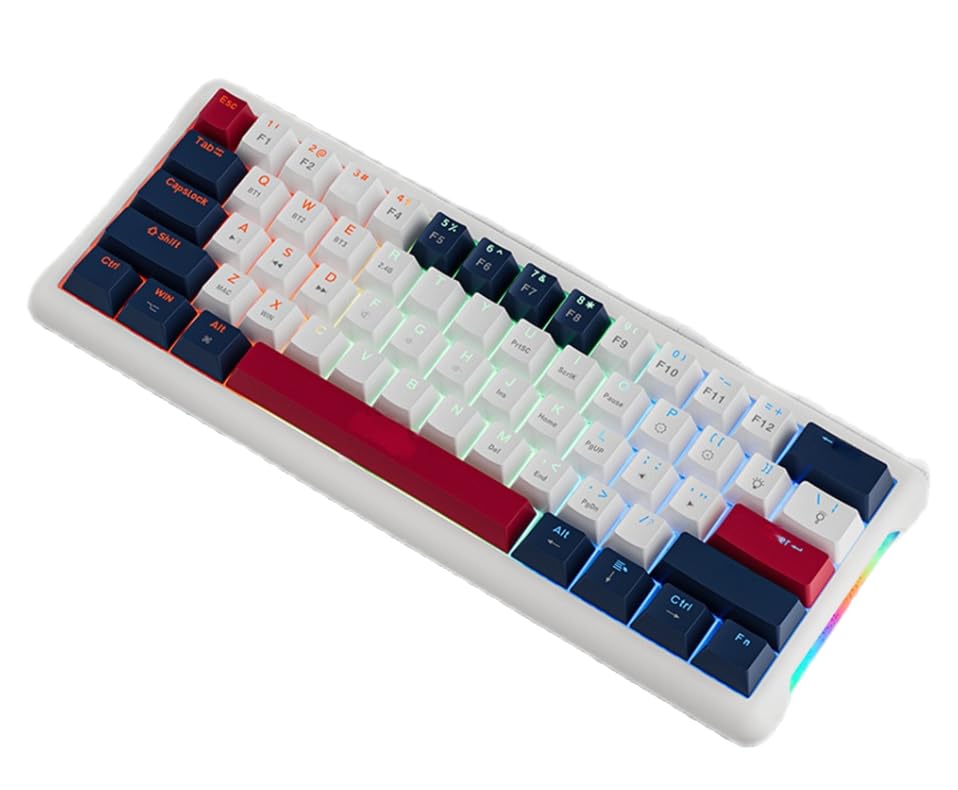 Coverzone Leaven K610 Mini Kablolu Mekanik RGB Işıklı Klavye 61